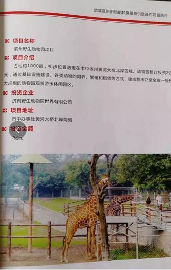 厲害了我的大濱州，15個招商引資項目集中簽約！